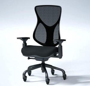 BodyBilt® Seating E-Chair | Ergonomic Mid-Back Mesh Computer Task Chair |360° Swivel |Adjustable Arms | Quiet Smooth-Glide Wheels | Made in the USA