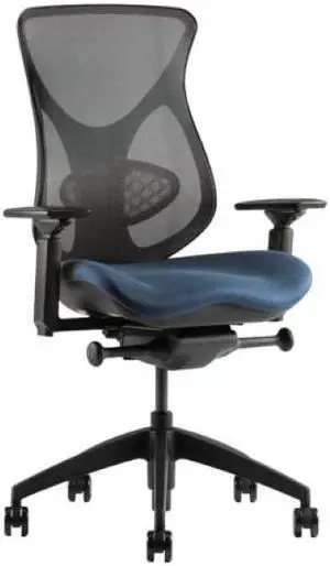Midcelli by BodyBilt® Ergonomic Mesh Mid-Back Chair|Home or Office Seating|Elastomeric Mesh|Adjustable: Arms, Lumbar, Seat Depth, Height, Tilt, Tilt Tension, Made in the USA.