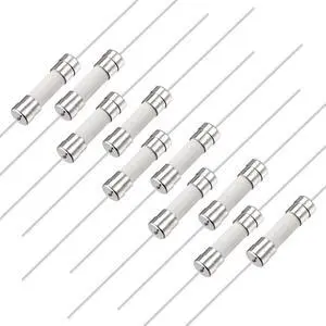 Slow Blow Fuse Time Delay Lead Wire Ceramic Fuses 5mm x 20mm 250V T10A 10Pcs