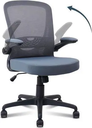 CLATINA Ergonomic Mesh Office Chair,Swivel Executive Computer Chair with Adjustable Lumbar Support and Flip up Armrest,Breathable Mesh Computer Work Chair for Home Office Conference Room,Grey