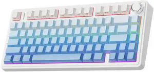 EPOMAKER x Aula F75 Gasket Mechanical Keyboard, 75% Wireless Hot Swappable Gaming Keyboard with Five-Layer Padding&Knob, Bluetooth/2.4GHz/USB-C, RGB (Blue Gradient, LEOBOG Reaper Switch)