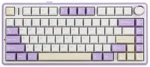 EPOMAKER x Aula F75 Gasket Mechanical Keyboard, 75% Wireless Hot Swappable Gaming Keyboard with Five-Layer Padding&Knob, Bluetooth/2.4GHz/USB-C, RGB (Purple, LEOBOG Reaper Switch)