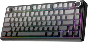 EPOMAKER x Aula F75 Gasket Mechanical Keyboard, 75% Wireless Hot Swappable Gaming Keyboard with Five-Layer Padding&Knob, Bluetooth/2.4GHz/USB-C, RGB (Black Gradient, LEOBOG Reaper Switch) EPOMAKER x Aula F75 Gasket Mechanical Keyboard, 75% Wireless Hot Swappable Gaming Keyboard with Five-Layer Padding&Knob, Bluetooth/2.4GHz/USB-C, RGB (Black Gradient, LEOBOG Reaper Switch)