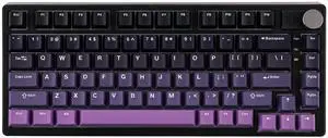 EPOMAKER HE75 Mag Wireless Gaming Keyboard with Hall Effect Switch and Changeable Knob Module, Rapid Fast Magnetic Keyboard with Adjustable Trigger, USB-C/2.4G/Bluetooth, RGB Backlit (Black Purple)