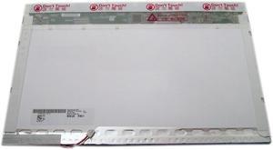AU OPTRONICS B154PW02-PB B154PW02 15.4" WideScreen LCD Panel For NotebookS