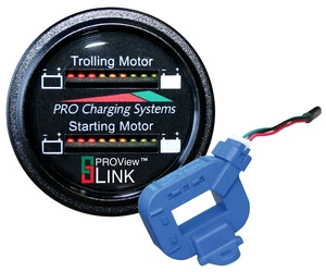 Dual Pro Lithium Battery Gauge with Mobile App Monitoring Dual Pro Lithium Battery Gauge with Mobile App Monitoring
