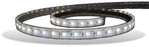Lumishore Eclipse SL100 5m Blue White Strip Light 1224vDC Lumishore Eclipse SL100 5m Blue White Strip Light 1224vDC