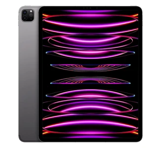 Apple iPad Pro 6 6.1" Tablet (Unlocked) 256GB SSD iOS Space Gray Apple iPad Pro 6 6.1" Tablet (Unlocked) 256GB SSD iOS Space Gray