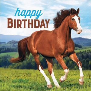 Creative Converting Wild Horse Happy Birthday Napkins, 16 ct, 6.5 in, 16 ct