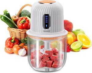 Wireless Portable Mini Food Chopper,Small Electric Food Processor for Garlic Veggie,Dicing, Mincing & Puree,100ml, Baby Food Maker, White