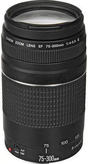 Canon EF 75-300mm f/4-5.6 III Telephoto Zoom Lens for Canon SLR Cameras (Renewed)