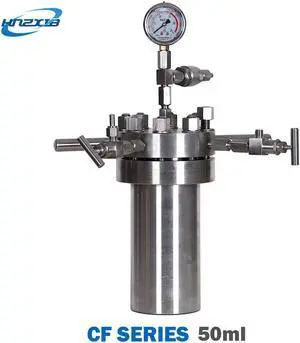 HNZXIB 50ML Laboratory Chemical Simple Stainless Steel High Pressure Reactor Autoclave TEFLON chamber / PTFE inner liner optional