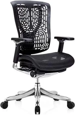 GM Seating Ergobilt High-Back Ergonomic Office Chair - Large Mesh Chair with Lumbar Support & Adjustable Armrest - Swivel Computer Desk Chair with Height Adjustable backrest - Aluminum Base  Black