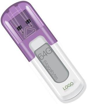 Lexar JumpDrive V10 64GB USB 3.0 Flash Drive LJDV10-64GB (White Purple SLEEVE) 000-113...