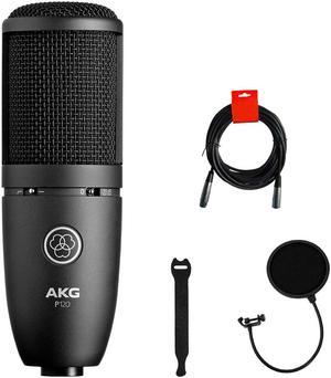 AKG P120 Cardioid Condenser Microphone (Black) with XLR-XLR Cable, Pop Filter & 10-Pack Straps Bundle