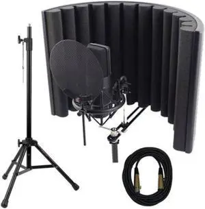 sE Electronics X1 S Complete Studio Bundle