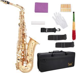 Student  Glarry Alto Saxophone  Alto SAX Eb  with  W/ Case 10 Reeds Strap