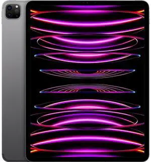 Apple iPad Pro 6th Gen 12.9" Tablet 256GB WiFi + 5G Fully Unlocked, Space Gray