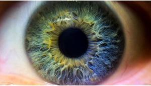 High Definition 2 Element CloseUp Macro Lens for Pentax K3 II 62mm