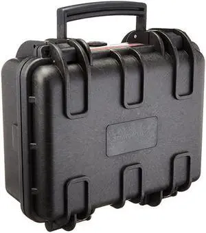 Basics Small Hard Camera Carrying Case - 12 x 11 x 6 Inches, Black