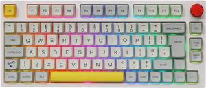 EPOMAKER TH80 Pro 75% Gaming Keyboard, Hot Swap RGB Keyboard, 2.4Ghz/Bluetooth 5.0/Wired Mechanical Keyboard with MDA PBT Keycaps, Knob Control for Windows/Mac(Theory TH80 Pro, Flamingo Switch)