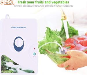 SLGOL Portable air purifier Vegetable and Fruit Sterilizer Machine Generator 600mg/h Multipurpose Ozonator Sterilizer Machine with Timer Air Disinfector for Purifies Air Water Food Toothbrush