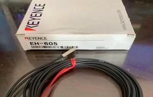 FOR 1pcs Sensor EH-605 EH605