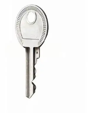 FOR 1Pcs cabinet key SZ2531.000 2531000 E1 E2 E7 control cabinet 3524 key FOR 1Pcs cabinet key SZ2531.000 2531000 E1 E2 E7 control cabinet 3524 key