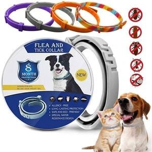 Flea and Tick Collar for Dogs and Cats, 8 Month Protection Length Adjustable Purple Small Dogs or Cats Flea and Tick Collar for Dogs and Cats, 8 Month Protection Length Adjustable Purple Small Dogs or Cats