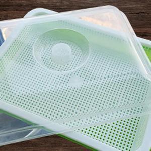 FOR 3X Seed Sprouter Tray With Lid BPA Bean Sprout Grower Sprouting Seeds Tray Dirt Way And Big Capacity
