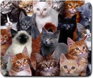 Cats Galore Mouse Pad Square Anti-Slip Rubber Mousepad Premium-Textured Mouse Mat Cute Office Mouse Pads for Women Men Computer Laptop
