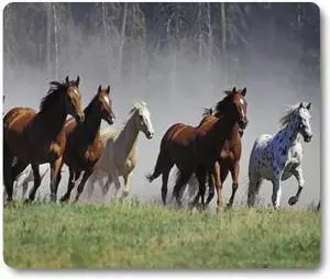 American Quarter Horse Prairie Animal Mouse Pad Cute Mat Galloping Horses Herd Ranch Animal Mouse Pads