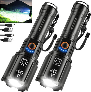Lampe Torche UV 365nm Rechargeable USB-C - Détecteur D'urine, Pour Résine, Minéraux, Billets, Scorpions