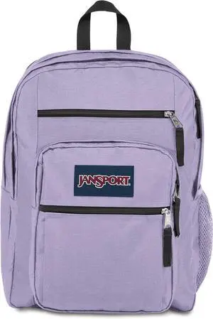 Laptop Backpack - Computer Bag with 2 Compartments Ergonomic Shoulder Straps 15 Laptop Sleeve Haul Handle - Book Rucksack - Pastel Lilac