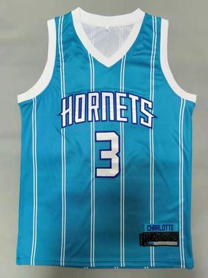 Charlotte Hornets Hayward Basketball Jersey X-Large