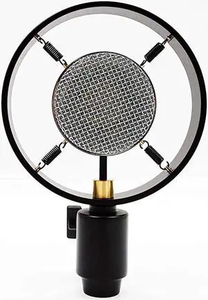 Vintage Classic Studio Church Theater Auditorium Speech Live Vocal 25mm Big Diaphragm Condenser Microphone Vlog Pc Mic