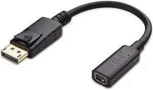 DisplayPort to Mini DisplayPort Adapter DP to Mini DP 6 Inches