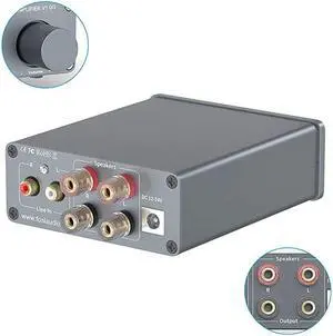 Channel Stereo Audio Class D Amplifier Mini HiFi Professional Digital Amp for Home Speakers 50W x V10G
