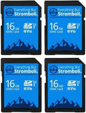 Everything But Stromboli 4 Pack 16GB SD Card for Browning Trail Camera Dark Ops, Recon Force, Defender, Spec Ops, Patriot, Strike Force Game Cam Memory Cards