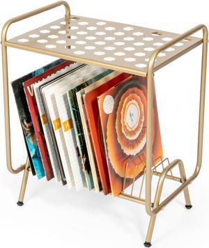 Ilyapa 2-Tier Gold Metal Record Player Stand with 16 Slot Vinyl Record Holder - Honeycomb Design Turntable Shelf with Record Shelf, Vinyl Record Player Stand