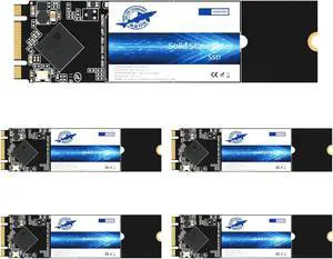 Dogfish M.2 SSD 64GB SATA III 6 Gb/s, M.2 (2280mm) Internal Solid State Drive - Compatible with Desktop PC Laptop (M.2 2280, 64GB*5Pack)