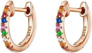 Sterling Silver Rainbow Earrings S925 Zircon Earrings Rose Gold