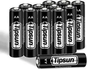 TIPSUN AA Batteries Ultimate Double A Battery Lithium 12 Count