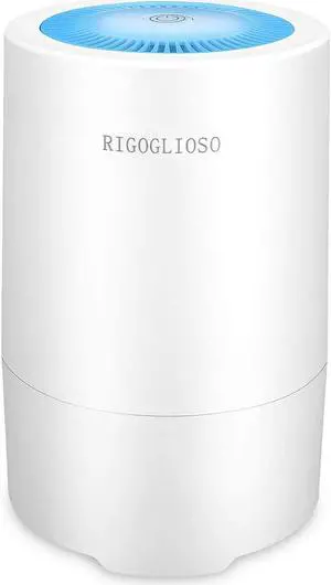 RIGOGLIOSO Air Purifier for Home Smoke Pollen and Pets Hair in Bedroom with Anion,True HEPA Air Purifiers Filter, Super Quiet Air Cleaner with Night Light, Purify 99.97% Pollen,Smoke,Dust,Odor.SY900S RIGOGLIOSO Air Purifier for Home Smoke Pollen and Pets Hair in Bedroom with Anion,True HEPA Air Purifiers Filter, Super Quiet Air Cleaner with Night Light, Purify 99.97% Pollen,Smoke,Dust,Odor.SY900S