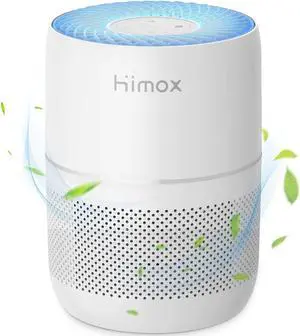 Air Purifier for Home Large Room up to 660 ft² H13 True HEPA Air Filter Cleaner, Remove 99.97% Allergies Smoke Dust Mold Pollen Odor Pet Dander, Air Monitor Night Light, for Bedroom Office Air Purifier for Home Large Room up to 660 ft² H13 True HEPA Air Filter Cleaner, Remove 99.97% Allergies Smoke Dust Mold Pollen Odor Pet Dander, Air Monitor Night Light, for Bedroom Office
