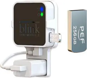 256GB Blink USB Flash Drive for Local Video Storage and The Outlet Mount for Blink Sync Module 2(Blink Add-On Sync Module 2 Itself is NOT Included)