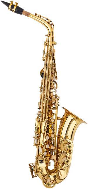 New Brass School Student Practice Alto Saxophone Sax Kit Golden Color