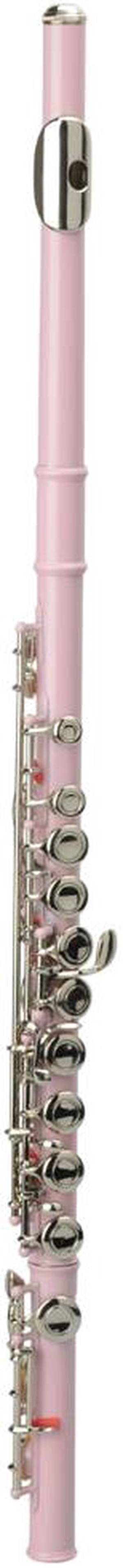 New Standard Pink School Band Student 16 Closed C Flute with Case&Accessories