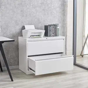 2 Drawers Lateral File Cabinet Organizer with Lock for Hanging File Folders,Steel