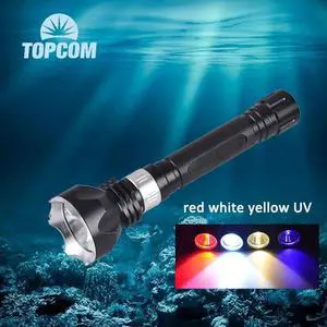 Professional IP68 Diving Flashlight Powerful 10W T6 / L2 / XPE LED Diving Light Waterproof Super Bright Diving Torch Professional IP68 Diving Flashlight Powerful 10W T6 / L2 / XPE LED Diving Light Waterproof Super Bright Diving Torch